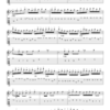 Michael Schmolke | J.S. Bach: Invention 5, BWV 776 | 2-3 Guitars |  Ebook + Audio | SPASS BEISAITE Musikverlag | Seite 4 stark verkleinert