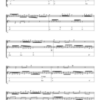 Michael Schmolke | J.S. Bach: Invention 14, BWV 785 | 2-3 Guitars |  Ebook + Audio | SPASS BEISAITE Musikverlag | Seite 1 stark verkleinert